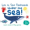 KNYGA Becky Miles Lots to Spot Flashcards: Under the Sea!