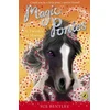 KNYGA Bookshop Magic Ponies: A Twinkle of Hooves