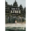 KNYGA Bookshop Maybe I'll be a Tree