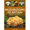 KNYGA Bookshop Naturalist's Guide to the Mushrooms of Britain and Northern Europe