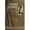 KNYGA Bookshop Ogam Stones at University College Cork