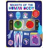 KNYGA Autumn Publishing Secrets of the Human Body