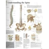 KNYGA Scientific Publishing Understanding the Spine Paper Poster
