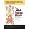 KNYGA Bookshop Vital Psoas Muscle