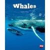 KNYGA Bookshop Whales Level 24 X6