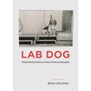 KNYGA Brad Bolman Lab Dog