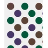 KNYGA Bridget Riley: Past into Present
