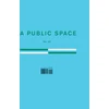 KNYGA Brigid Hughes A Public Space No. 30