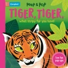 KNYGA Campbell Books Tiger, Tiger, What Stripy Fur You Have!