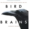 KNYGA Candace Sherk Savage Bird Brains
