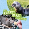 KNYGA Cara Krenn Is a Ferret or a Rat the Pet for Me?