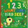 KNYGA Carly Gledhill 1, 2, 3, What Can Bird See?