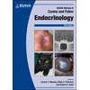 KNYGA Carmel T Mooney BSAVA Manual of Canine and Feline Endocrinology