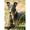KNYGA Carol Baby Retired Greyhounds