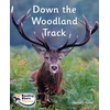 KNYGA Cath Jones Down the Woodland Track