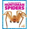 KNYGA Chanez Huntsman Spiders