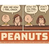 KNYGA Charles M Schulz The Complete Peanuts 1987-1988: Vol. 19