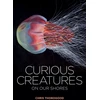 KNYGA Chris Thorogood Curious Creatures on our Shores