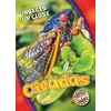 KNYGA Christina Leaf Cicadas