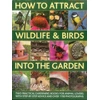 KNYGA Christine Lavelle How to Attract Wildlife & Birds into the Garden