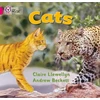 KNYGA Claire Llewellyn Katės