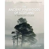 KNYGA Clifton Bain Ancient Pinewoods of Scotland