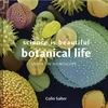 KNYGA Colin Salter Science is Beautiful: Botanical Life