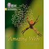 KNYGA Collins Big Cat Amazing Webs