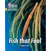 KNYGA Collins Big Cat Fish that Fool