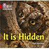 KNYGA Collins Big Cat Staff It is Hidden