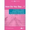 KNYGA D Geraint Lewis How Do You Say...?