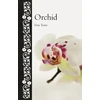 KNYGA Dan Torre Orchidėja