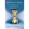 KNYGA Daniel N Stern Present Moment in Psychotherapy and Everyday Life