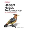 KNYGA Daniel Nichter Efficient MySQL Performance