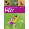 KNYGA Daniele Occhiato Birds of Italy