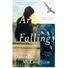 KNYGA Danielle Mclaughlin Art of Falling