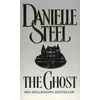 KNYGA Danielle Steel Vaiduoklis