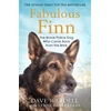 KNYGA Dave Wardell Fabulous Finn