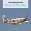 KNYGA David Doyle AD and A-1 Skyraider