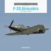 KNYGA David Doyle P-39 Airacobra