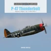 KNYGA David Doyle P-47 Thunderbolt