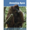 KNYGA David Orme Amazing Apes