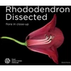KNYGA David Purvis Rhododendron Dissected
