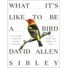 KNYGA David Sibley What It's Like to be a Bird