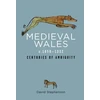 KNYGA David Stephenson Medieval Wales c.1050-1332
