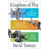 KNYGA David Toomey Kingdom of Play