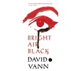 KNYGA David Vann Bright Air Juodas