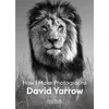 KNYGA David Yarrow