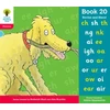 KNYGA Debbie Hepplewhite Oxford Reading Tree: Level 4: Floppy's Phonics: Sounds and Letters: Book 20