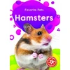 KNYGA Derek Zobel Hamsters